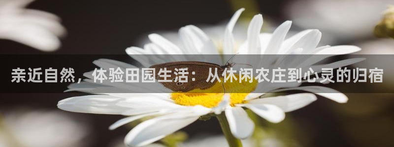 金年会彩票软件