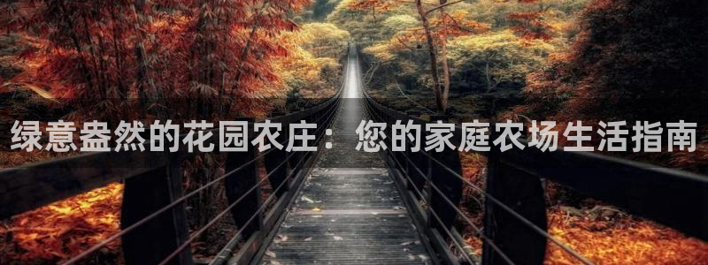 金年会app在线