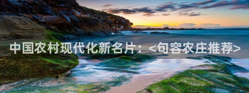 金辉城年会视频