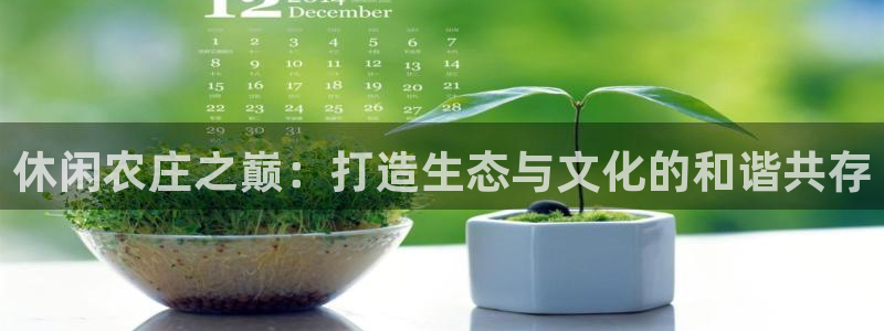 金实年会