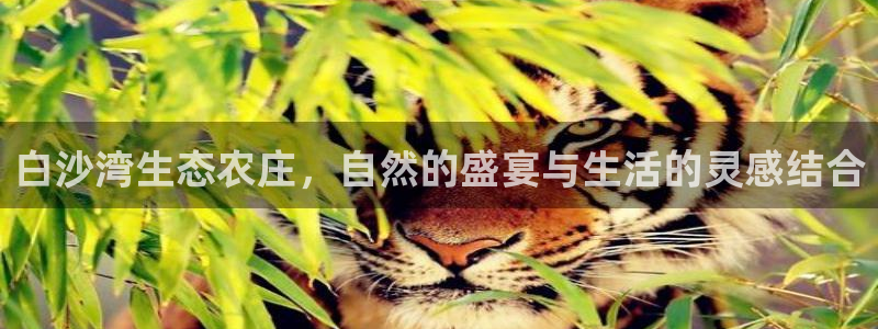 金年会体育官方网站