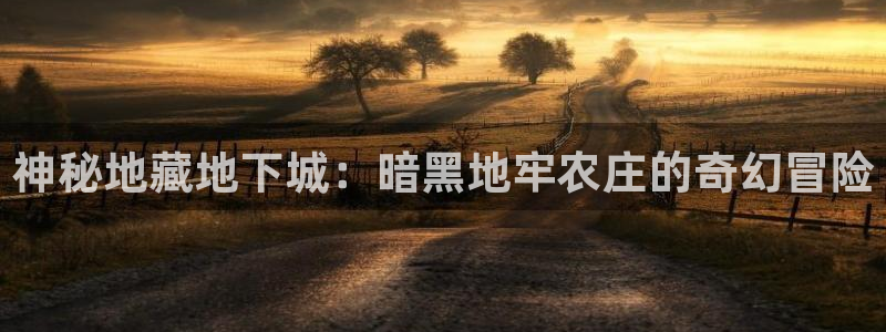金年会全站app