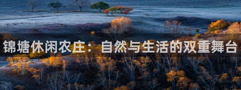 澳门金年会棋牌