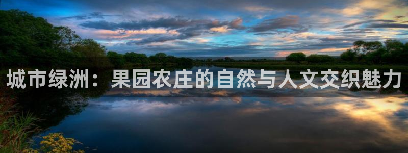 金年会游戏