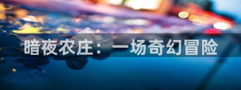 金联金年会