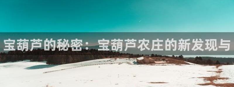 年会金句心得