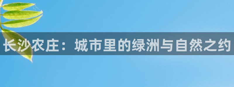 金年会体育平台