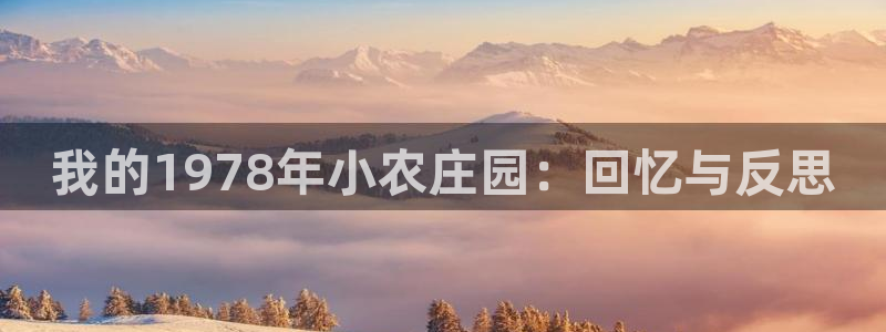 金年会今年会