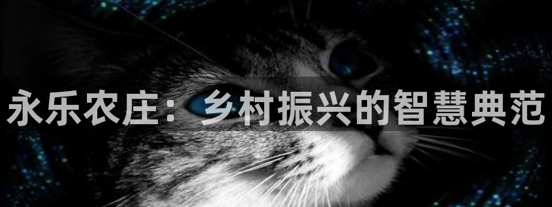 为什么搜索不了金年会