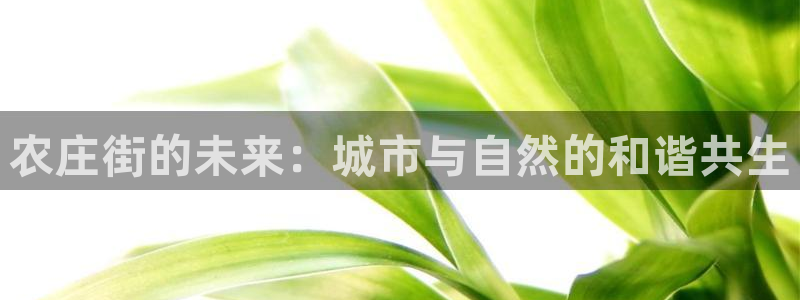 金年会官网地址
