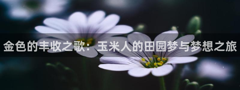 金年会app在线