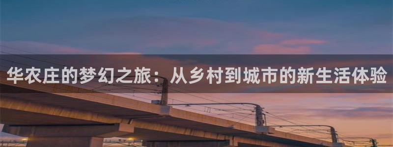 金年会登陆