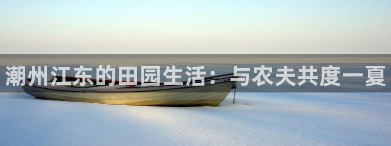 融通金年会