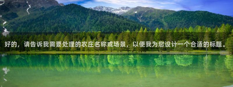 金辉城年会视频