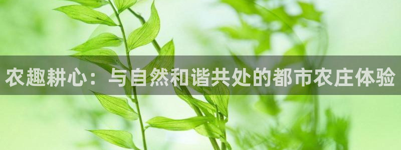 金年会娱乐和马竞