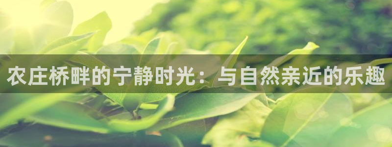 金年会体育官方网站