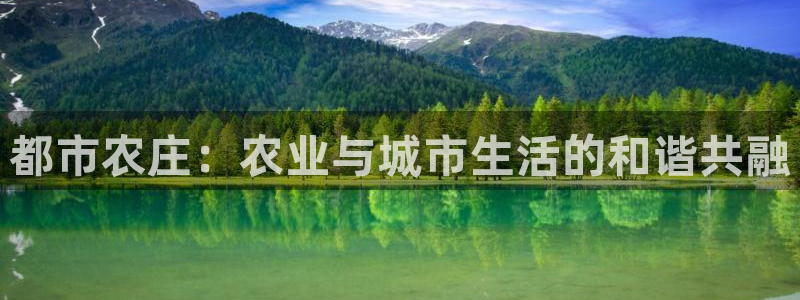 金年会体育和金年会