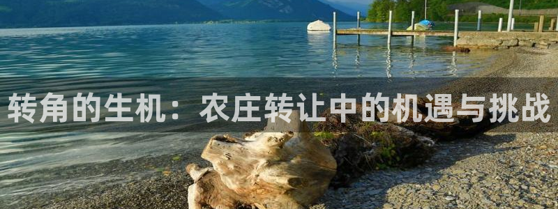金年会是啥
