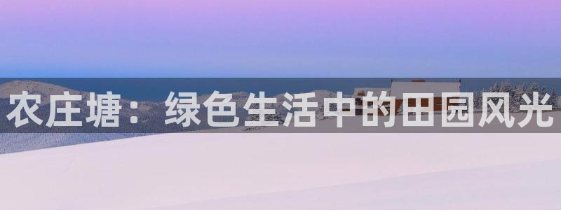 金年会体育app