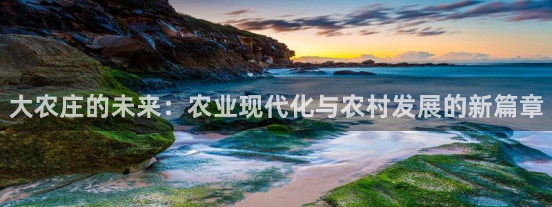 金雅陶瓷年会现场