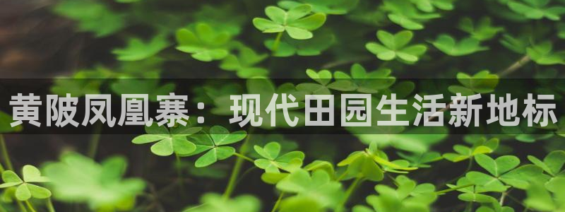 金年会18 28