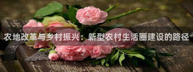 金哥年会