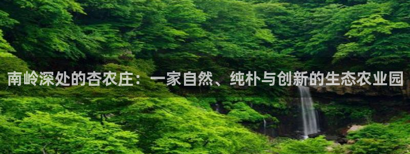 今年会送彩金28