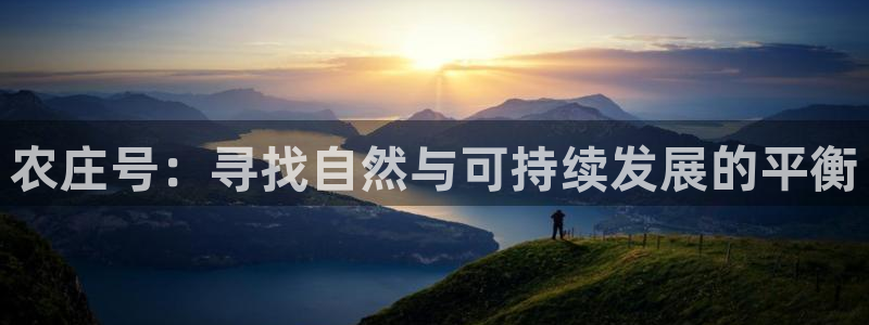 金年会体育平台入口