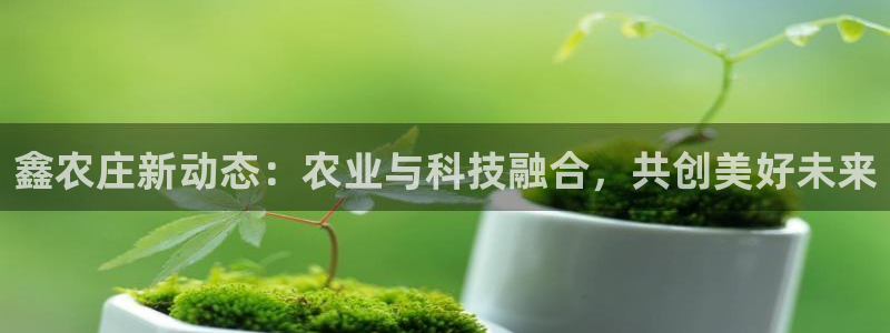 金实年会