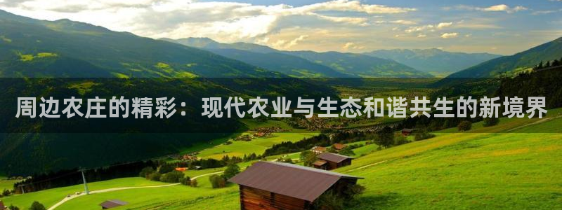 金年会黑网