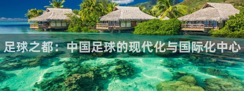 金年会综合APP