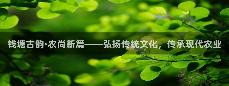 金年会 中国 金年会