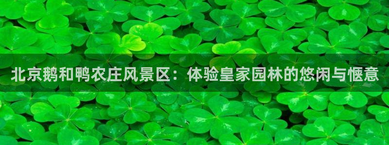 金年会