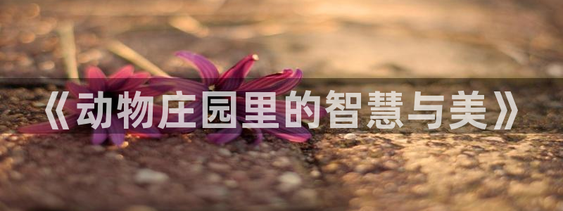 金立年会