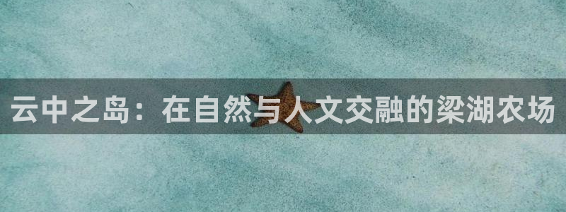 金年会平台是什么