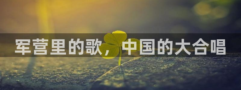 jinnianhui 金年会
