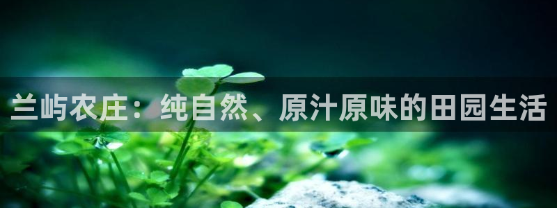 今金年会