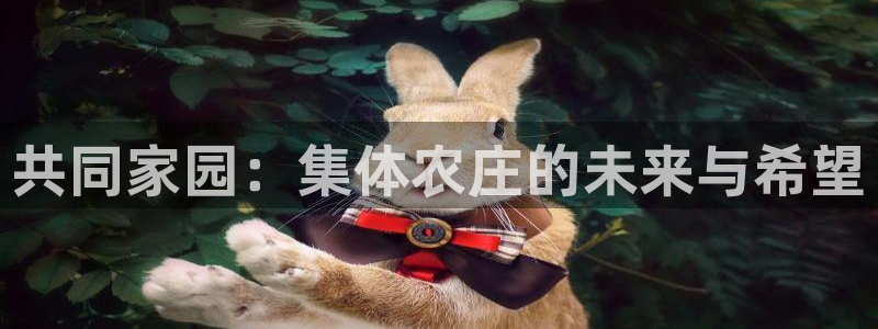金年会是正规的吗