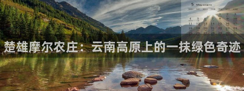 金年会在线登录