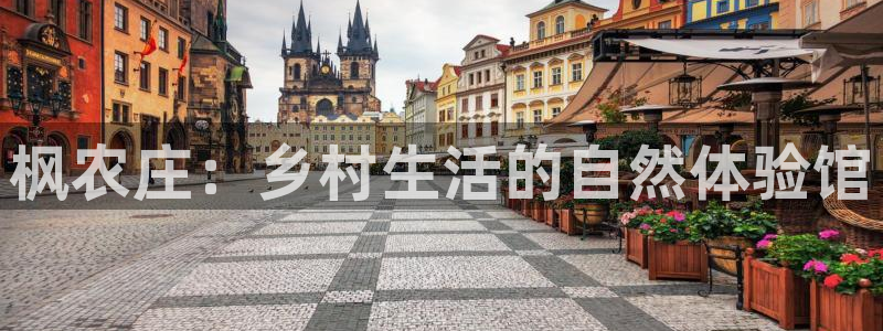 金年会jinnian