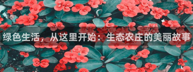 金年会在线入口