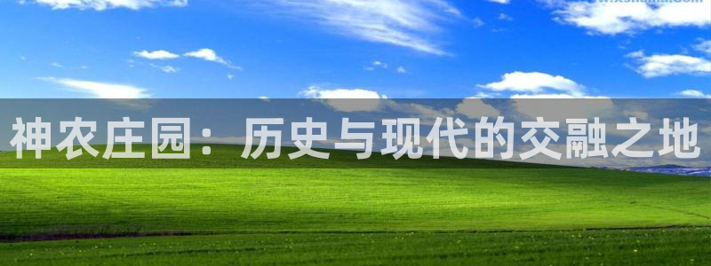 金年会体育平台入口