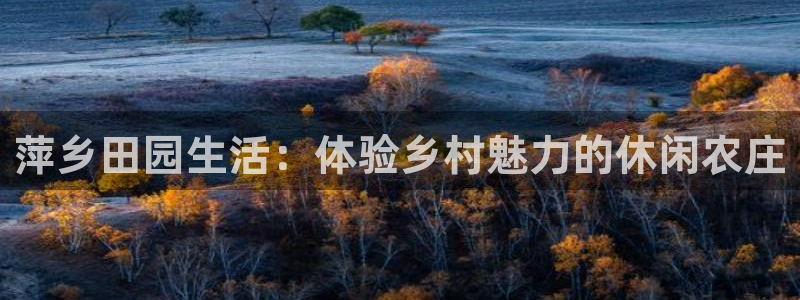 金诺利年会