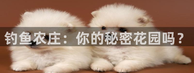 金年会综合APP