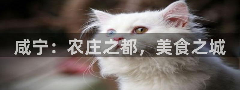 金年会网页登录