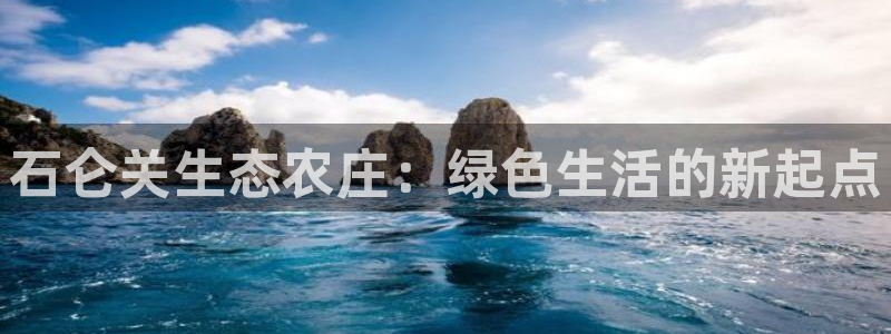 金年会网官网新版
