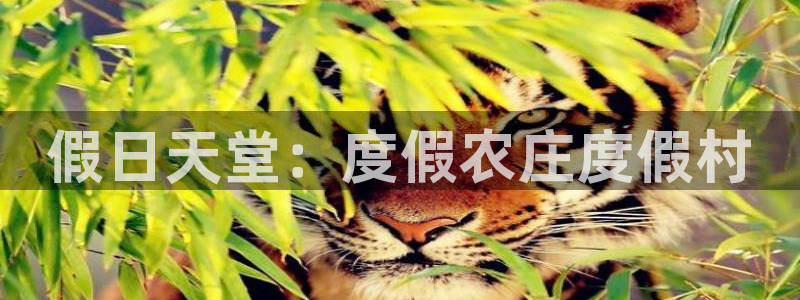 金年会是真的吗