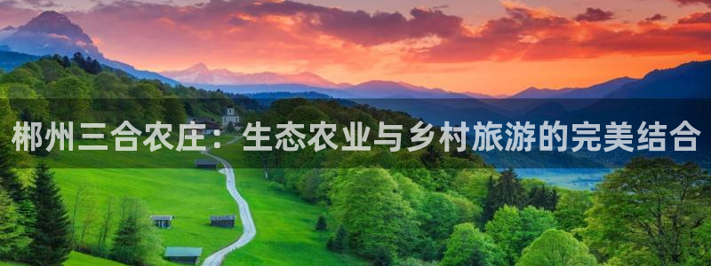 金年会手机登录