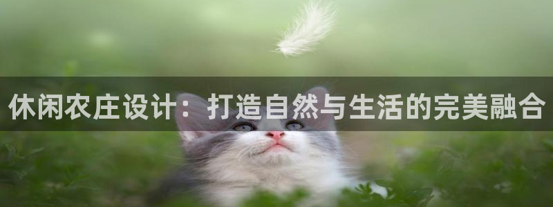 年会金