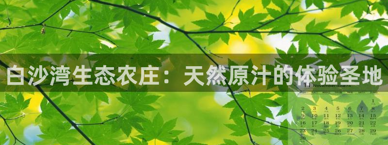 金年会彩票下载app